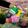 Roundup® Tough Ready to Use Weedkiller image 3