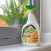 AntClear™ Ant Control Spray image 3