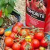Levington® Tomorite® Concentrated Tomato Food image 2