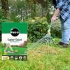Miracle-Gro® Professional Super Seed Hard Wearing Lawn image 3