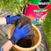 Miracle-Gro® Peat Free Premium Rose, Tree & Shrub Compost image 2