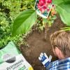 Miracle-Gro® Performance Organics Peat Free All Purpose Compost image 4