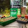 Levington® Peat Free Seed & Cutting Compost image 4