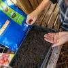 Levington® Peat Free Seed Compost with added John Innes image 3