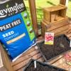 Levington® Peat Free Seed Compost with added John Innes image 4