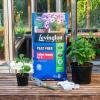 Levington® Peat Free John Innes No.3 image 2