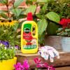 Miracle-Gro® Rose & Shrub Concentrated Liquid Plant Food image 2