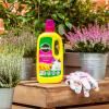 Miracle-Gro® Azalea, Camellia & Rhododendron Concentrated Liquid Plant Food image 2