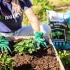 Baileys Soil Improver Plus image 6