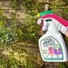 BugClear™ Plant Shield Spray image 2