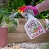 FungusClear® Plant Shield Spray image 3