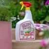 FungusClear® Plant Shield Spray image 2