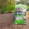 Levington® Composted Mulch image 4
