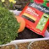 Levington® Peat Free Multi Purpose Compost with added John Innes image 3