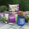 Levington® Peat Free Container & Basket Compost image 2