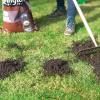 Levington® Peat Free Top Soil image 3