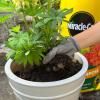Miracle-Gro® Compost - All Purpose image 2
