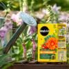 Miracle-Gro® Plant Food Soluble - All Purpose image 2