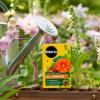 Miracle-Gro® Plant Food Soluble - All Purpose image 2