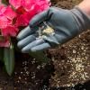 Miracle-Gro® Plant Food Granules - Azalea, Camellia, Rhododendron image 3