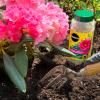 Miracle-Gro® Plant Food Granules - Azalea, Camellia, Rhododendron image 2