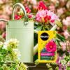 Miracle-Gro® Plant Food Soluble - Azalea, Camellia, Rhododendron image 3