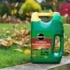 Miracle-Gro® EverGreen® Autumn Lawn Care image 3