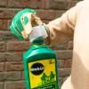 Miracle-Gro® Fast Green Lawn Food Concentrated Liquid image 3