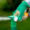 Miracle-Gro® Fast Green Lawn Food Spray & Feed image 4