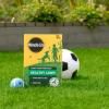 Miracle-Gro® Healthy Lawn image 2