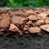 Miracle-Gro® Premium Pine Bark Nuggets image 4