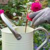 Miracle-Gro® Liquid Plant Food - Rose & Shrub image 4