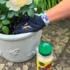 Miracle-Gro® Plant Food Granules - Rose & Shrub image 4