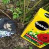 Miracle-Gro® Plant Food Fast Acting Granules - Rose & Shrub image 4