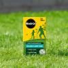 Miracle-Gro® Soluble Lawn Food image 2