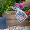 RoseClear® Plant Shield Spray image 3
