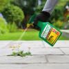 Roundup® Fast Action Ready to Use Weedkiller image 3