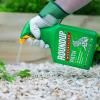Roundup® Weedkiller Path Optima image 3