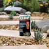 Roundup® Tree Stump Weedkiller image 3