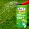 Weedol® LN Lawn Weed Control (Concentrate) image 2