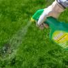 Weedol® LN Lawn Weed Control (Ready to Use) image 3