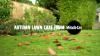 miracle-gro-autumn-lawn-care-video-2026-poster.jpg