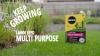 miracle-gro-multi-purpose-lawn-seed-video-poster.jpg