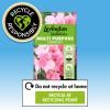 Levington® Essentials Peat Free Multi Purpose Compost image 3