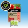 Levington® Fish, Blood & Bone Multi Purpose Plant Food image 3
