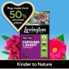 Levington® Peat Free Container & Basket Compost image 5