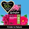 Levington® Peat Free Ericaceous Compost image 2