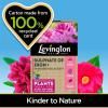 Levington® Sulphate of Iron+ image 2