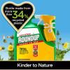 Roundup® Fast Action Ready to Use Weedkiller image 3