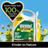 Weedol® Gun!™ Fast Acting Weedkiller image 2